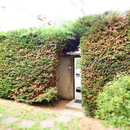 Maison Faure - Centre - Jardin - Garage