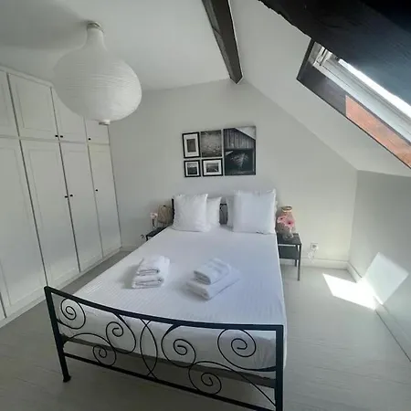 Maison Faure - Centre - Jardin - Garage Daire *