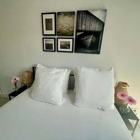 Maison Faure - Centre - Jardin - Garage Daire *